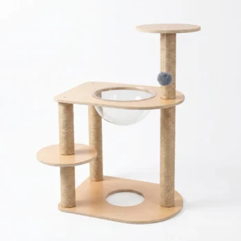 矮脚猫太空舱